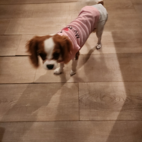 Meet your Posher, Raylene - Picture 4 of 9